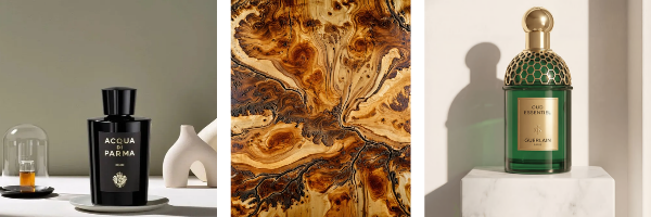 visuel blog sur le oud
